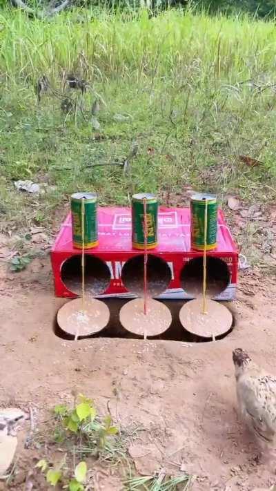 A clever way to catch fowls