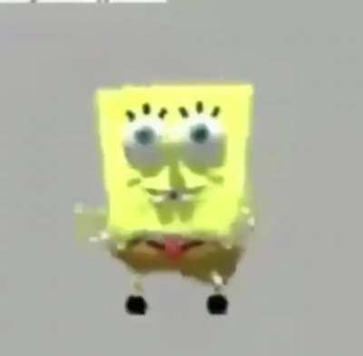 sponge