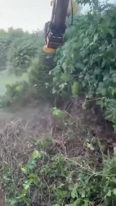 Cleaning weed* with the good ol' pasta technique 