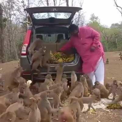 Man makes it rain for his monkey friends