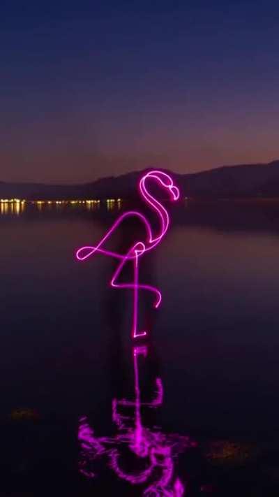 These incredibly creative and impressive light paintings