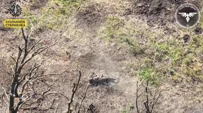 Russian soldier playing dead takes a direct hit from an FPV drone. Video by the Strike Drone Company (47 OMBr)