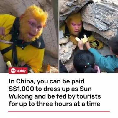 In China, you can be paid $1,000 to dress up as Sun Wukong