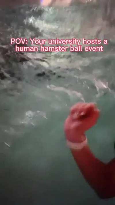 POV: Your university hosts a human hamster ball event