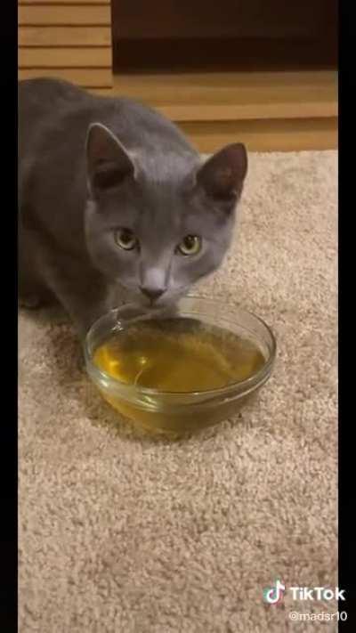 Catnip tea