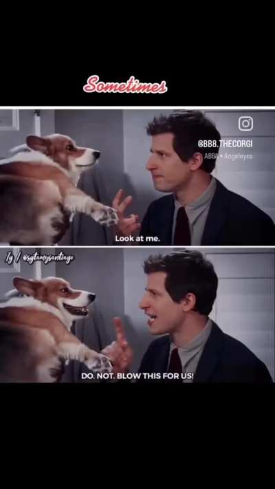 brooklynninenine