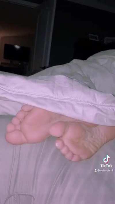 Soft.solez2 Soles