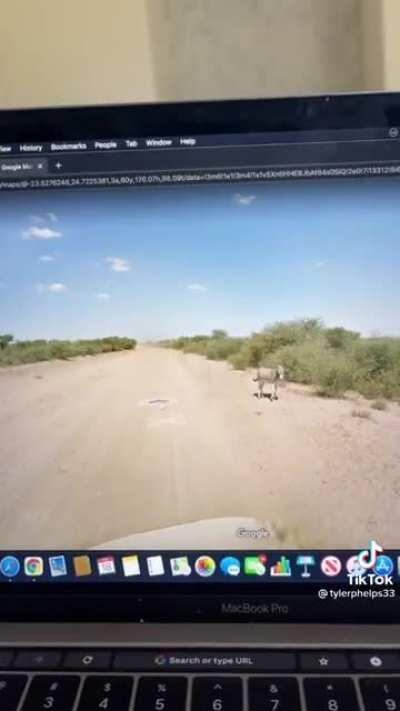 Camera car hits donkey (Stolen from tiktok)
