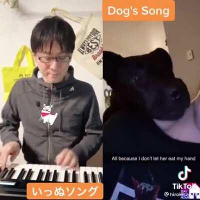 doggo song