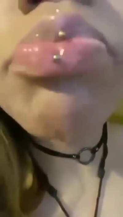 Fuck them lips got me brick😩