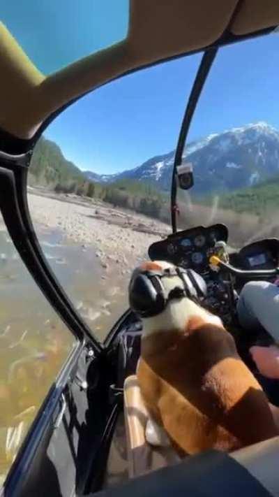 Helicopter ride in British Columbia (@bradleyfriesen)