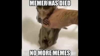 RIP MEMER 😭😭😭