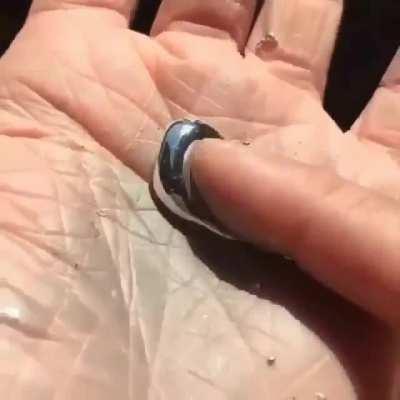 Gallium Element: Gallium, a metal, melts around 29.8 ° C. So even the temperature of your hand can be enough to liquefy it. The evaporation temperature is 2229 ° C. Touching gallium is completely harmless, unlike Mercury.