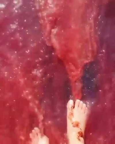 Red beach of Hormuz Island with its &quot;tide of blood&quot;