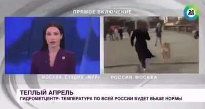 Dog steals a Russian news reporter’s microphone