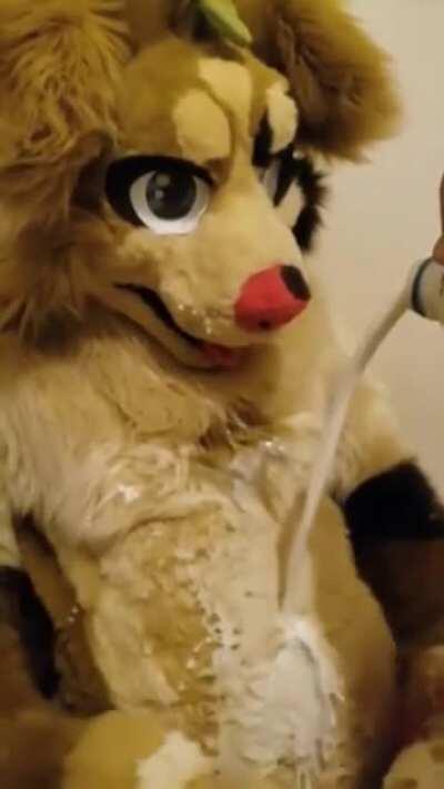 Buy a fursuit $1000+ just to ruin it with milk.