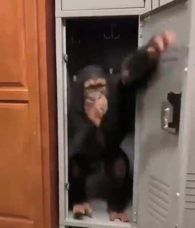 FUCK IT, CHIMP IN DA LOCKER