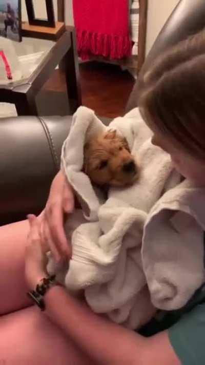 Being gentle with Puppy’s first sink bath