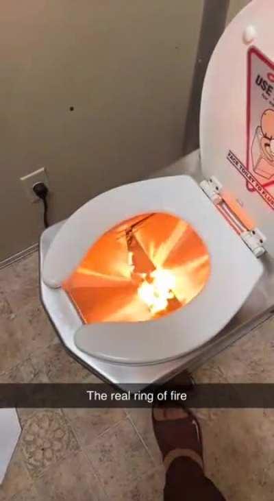 toilet that burns the waste instead of flushing it