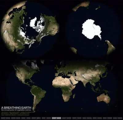 Breathing Earth. The annual pulse of vegetation and ice.