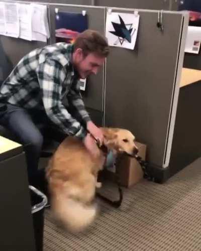 Getting pets from everyone in the office