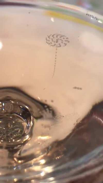 The bubbles forming on the surface of a glass of sparkling wine are in perfect circular order