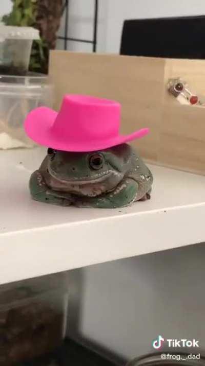 What In Frognation!