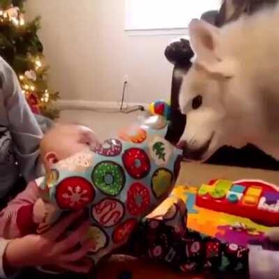 Good boy helps little guy unwrap gift