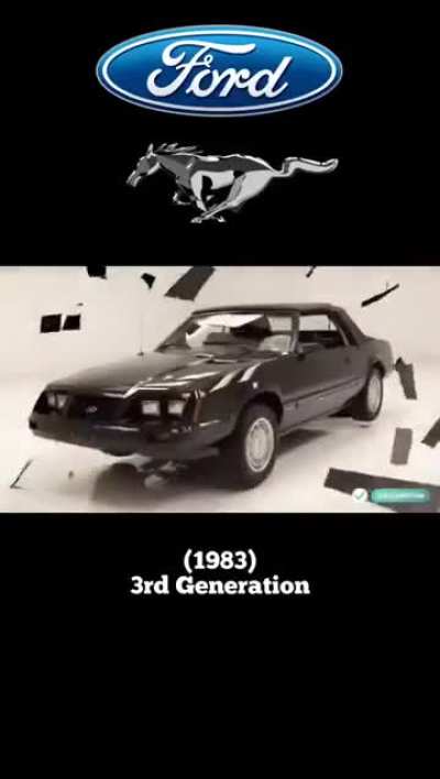 Mustang