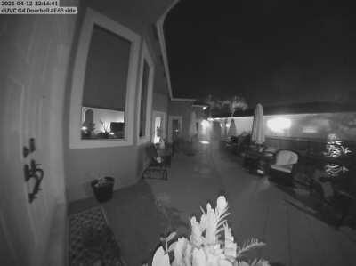 Doorbell cam caught the meteor last night