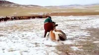 Mongolian Horsemanship