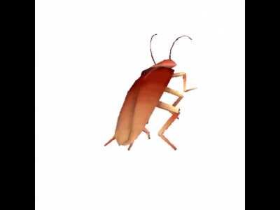 When I was in Foundation Stage “Kindergarten for the Americans” I ate bird poop, thinking it was Oreos. I regretted it immediately and spat it out. My god, it was disgusting. I have no video or photo to put, so enjoy this video of an auto tuned cockroach.