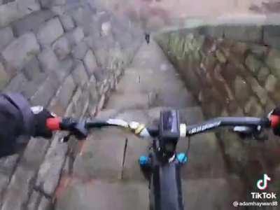 Guy gets a dopamine overdose going down a set of stairs on a bike