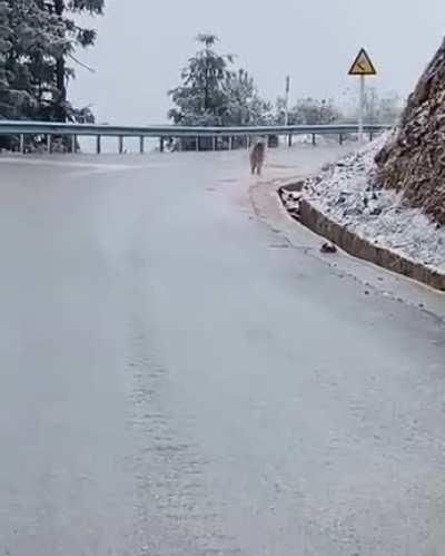 Oh! It's a bit slippery