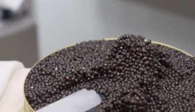 Packaging caviar