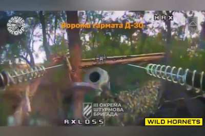 The &quot;Paskuda Group&quot; of the 3rd Separate Assault Brigade works skillfully with Wild Hornets FPV drones. September/October 2024. Location not stated. Probably Kharkiv/Luhansk border region.