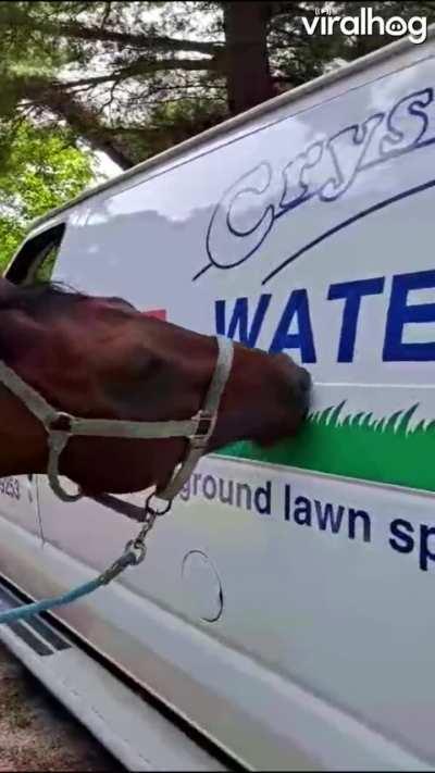 To eat grass