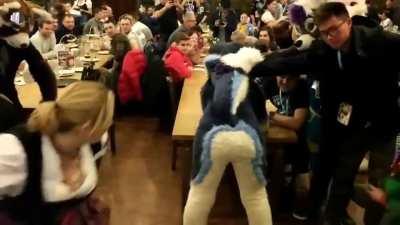 Furry Convention Festivities