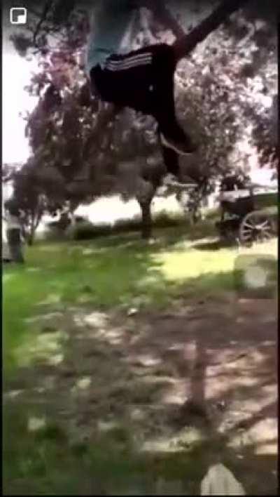 WCGW Getting down from the tree