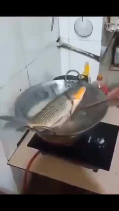 Fish