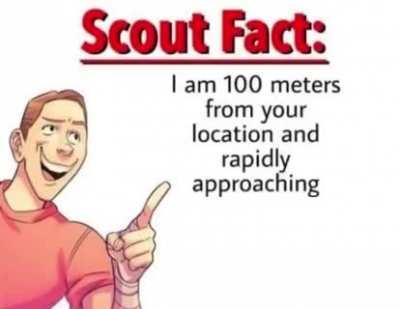 Scout facts