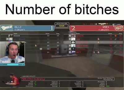 Number of bitches