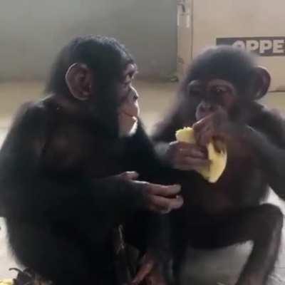 Sharing snacks with your bestie 🍌