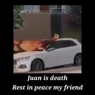 F por juan xd