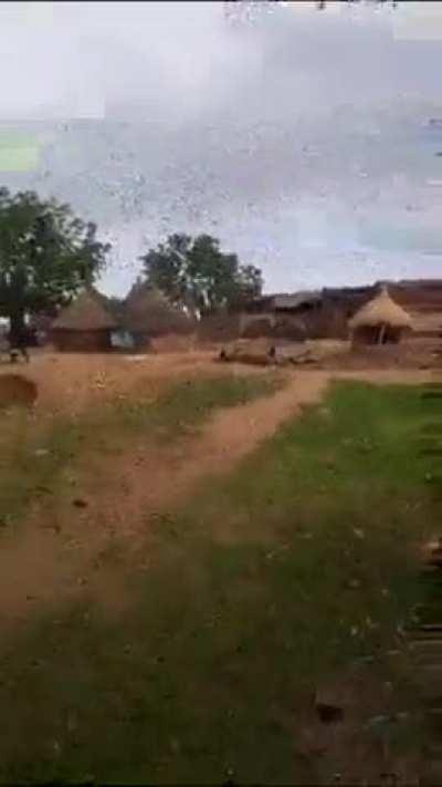 Shocking videos show the battlefield after the victory of the Sudanese Armed Forces over the RSF in Kordofan State 