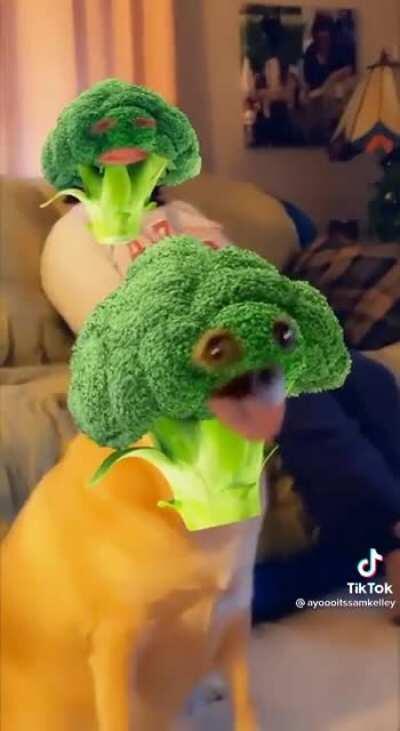 This Good Broccoli Boy