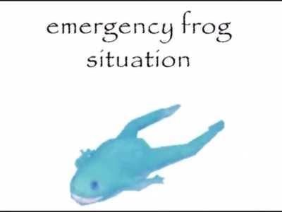 emergency frog situation