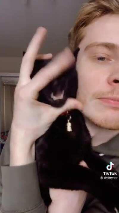 This cat ahah, sorry for tiktok