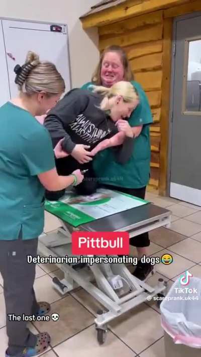 Veterinarians impersonating their patients. 