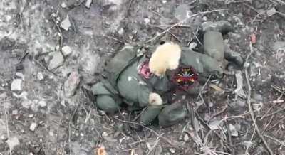 A Ukrainian Army Scout drone observes a fluffy Ukrainian cat begin to feed an abandoned Russian soldier.